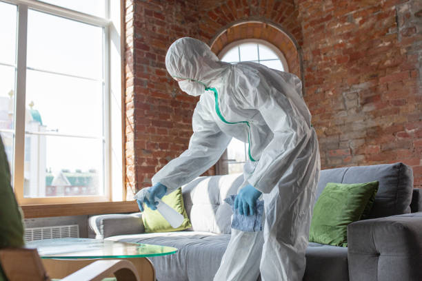 Why You Should Choose Our Mold Remediation Services in Hodgenville, KY